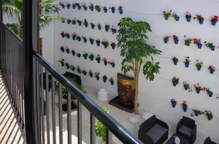 Casa Patio Las Palmeras Cordoba Con Piscina Apartment