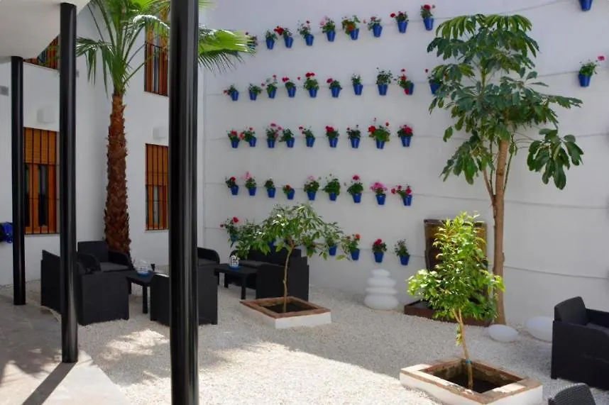 Casa Patio Las Palmeras Cordoba Con Piscina España
